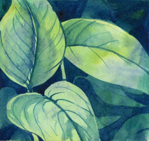 Watercolor painting of a plant, 5 x 5 inches, Loral Uber