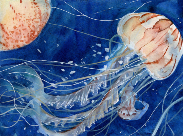 Watercolor painting of white jellyfish