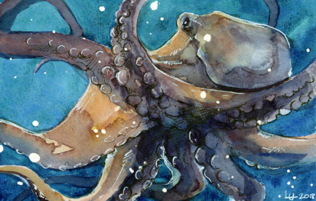 Watercolor painting of an orange octopus